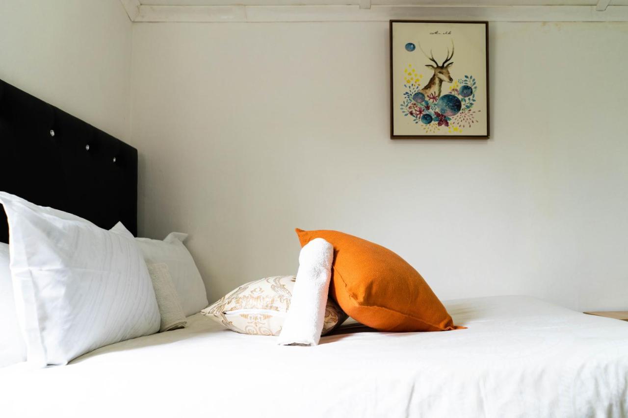 Albrine Lodge Bellville Luaran gambar